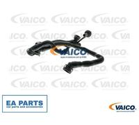 Hose, crankcase breather for AUDI A4 VAICO V10-3505