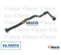 Hose, crankcase breather for BMW E46 VAICO V20-1800 NEW
