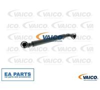 Hose, crankcase breather for BMW E65 E83 E53 E36 VAICO V20-1562 fits Left
