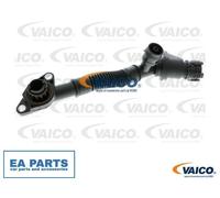Hose, crankcase breather for BMW F13 F01 E70 E71 VAICO V20-2329