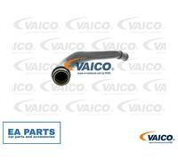Hose, crankcase breather for VW BEETLE BORA GOLF PASSAT B5.5 VAICO V10-2524