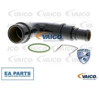 Hose, crankcase breather for VW BEETLE BORA GOLF PASSAT B5.5 VAICO V10-4804