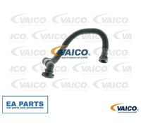 Hose, crankcase breather for VW BORA CADDY CRAFTER 30-35 Bus VAICO V10-2779