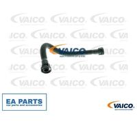Hose, crankcase breather for VW PASSAT VAICO V10-0737 fits Crankcase