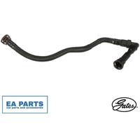 Hose, crankcase ventilation for BMW E46 GATES EMH423