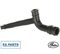 Hose, crankcase ventilation for FIAT 500L BRAVO DOBLO Bus GATES EMH662