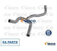 Hose, crankcase ventilation for FORD TRANSIT CONNECT VAICO V25-1242 NEW