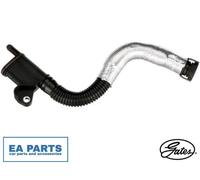 Hose, crankcase ventilation for VW BEETLE BORA CC EOS GATES EMH218