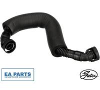 Hose, crankcase ventilation for VW BEETLE BORA CC EOS GATES EMH238