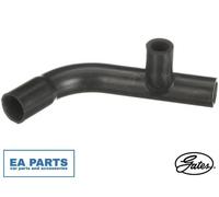 Hose, crankcase ventilation for VW POLO GATES EMH445