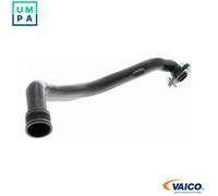 VAICO V10-9766 Hose, cylinder head cover breather