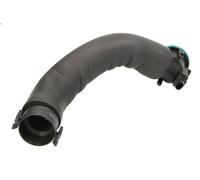 Hose, cylinder head cover ventilation VAICO V20-2245 for BMW 5 (F10) 2 2011-2016