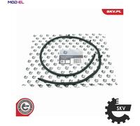 HOSE FUEL OVERFLOW 54SKV269 FOR BMW 7/E65/E66/E38 X5/E53 M57D25 2.5L M57D30 3.0L