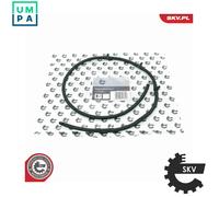 HOSE FUEL OVERFLOW 54SKV269 FOR BMW 7/E65/E66/E38 X5/E53 M57D25 2.5L M57D30 3.0L