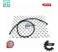 ESEN SKV 54SKV274 Fuel overflow hose