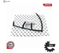 HOSE FUEL OVERFLOW 54SKV330 FOR FORD FOCUS/II/Turnier/C-MAX G8DF/G8DD 1.6L 4cyl