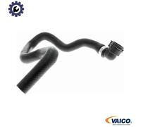 VAICO V10-3737 Hose, heat exchange heating