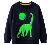 Hoseay Boys Sweatshirt Cotton Dinosaur Print Jumpers Glow-in-The-Dark Pullover Soft Long Sleeve T-Shirt Crew Neck Toddler Tops Casual Wear Outfits Kids Clothes Age 2-3 Years, Navy Blue
