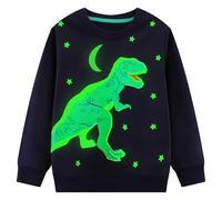 Hoseay Boys Sweatshirt Cotton Dinosaur Print Jumpers Glow-in-The-Dark Pullover Soft Long Sleeve T-Shirt Crew Neck Toddler Tops Casual Wear Outfits Boy Clothes Age 2-3 Years, Star Navy Blue