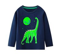 Hoseay Boys T-Shirts Long Sleeve Cotton Shirts Glow in the Dark 2-7 Years | Kids Dinosaur Tee Shirts, Crew Neck Tees, Breathable, Casual School Sports Basic Tops, Toddler Outfit, Summer