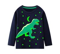 Hoseay Boys T-Shirts Long Sleeve Cotton Shirts Glow in the Dark 2-7 Years | Kids Dinosaur Tee Shirts, Crew Neck Tees, Breathable, Casual School Sports Basic Tops, Toddler Outfit, Summer
