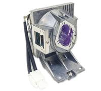 HOSECES RLC-116 RLC-117 RLC-119 Replacement Lamp Bulb with Housing for ViewSonic PX701-4K PX701HDH PX701HD PX703HD PG701WU PG701WUH VS11990,PG705HD,PG705WU,PX727-4K,PX747-4K,VS17154,VS17290,PX700HD