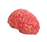 Hosfairy 1Pcs Halloween Body Parts Brain Fake Body Parts Halloween Horror Prop for Haunted House Halloween Party Decorations Supplies