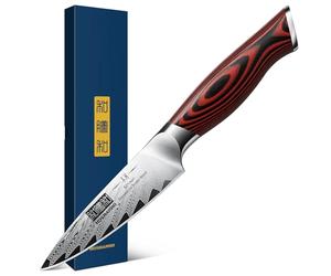 HOSHANHO Paring Knife 3.75 Inch Small Kitchen Knife, Super Sharp Damascus Steel Fruit Knife, Multifunctional Peeling Knife for Cutting Fruit Vegetables