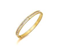 HOSICRON 6mm Gold Bracelets for Women, Stainless Steel Classic Cubic Zircon Filled Bangle Bracelet Crystal Jewelry Silver Oval Bangle Witness the Gift, Stainless Steel, Cubic Zirconia