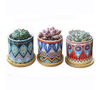 Hosmore Succulent Pots, Planter Pot with Drainage and Bamboo Tray Small Plant Pots Cactus Mini Flowers Pots with Saucer Garden Pots, Pack of 3 (Mandala)