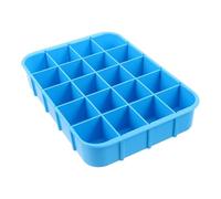 Hospital Medication Tray Blue Plastic 6s Management Organizer