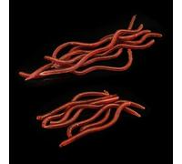 Hosrivae 20pcs Artificial Earthworm Fishing Lure 8cm 10cm Simulation Bait Brown PET Worms Freshwater Saltwater Angling Tackle Kit(8cm)