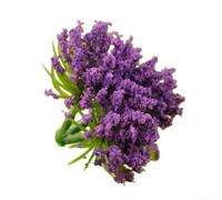 Hosrivae 2pcs DIY Model Materials Tree Trunk Flower Sandbox Building, Ornaments Architectural Models Train Layouts Dollhouse Decor White(Purple)