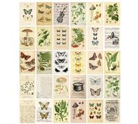 HOSTEESSCHOICE Vintage Collection Postcard Set Retro Style 30 PCS 4x6 in Botanical Butterfly Flower Mushroom Nature Postcards, psd-vb-a