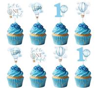 Hot Air Balloon 1st Birthday Decorations 24pcs Blue Isn't He Onederful Cupcake Toppers for Boy Clouds Hot Air Balloon Cake Decors Travel World Airplane Travel Adventure First Birthday Party Supplies