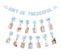 Hot Air Balloon 1st Birthday Decorations Blue Isn't He Onederful Banner Clouds Hot Air Balloon Photo Banner Travel World Airplane First Birthday Decor Travel Adventure One Year Old Bday Party Supplies