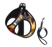 Hot Air Balloon Sunset Print Pet Leash Vest Soft Adjustable Step in Puppy Vest Outdoor Walking with Leash
