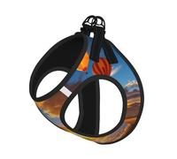 Hot Air Balloon Sunset Print Pet Leash Vest Soft Adjustable Step in Puppy Vest Outdoor Walking with Leash
