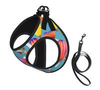 Hot Air Colorful Balloons Print Pet Leash Vest,Breathable Mesh Pet Harness, Reflective For Small Medium Dogs Safe Easy Walking