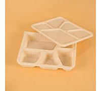 HOT BARGAINS 100 x 5 - Compartments Disposable Clamshell Food Containers with Lid | Takeaway Food Boxes and Trays for Snacks & Meals | Meal Prep Boxes for Catering & Events