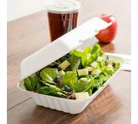 HOT BARGAINS 250 X Bagasse Takeaway Container 9 x 6 inch Single Compartment Food Box, Pack of, White, Biodegradable (250)
