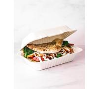 HOT BARGAINS 50 X Bagasse Takeaway Container 9 x 6 inch Single Compartment Food Box, Pack of, White, Biodegradable (50)