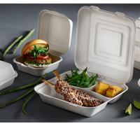Hot Bargains Bagasse Food Container 200 Pack 9 X 9 Inch 3 Compartment Biodegradable Boxes