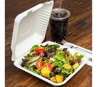 Hot Bargains Bagasse Meal Box 200 Pack 9 X 9 Inch Square Biodegradable Containers