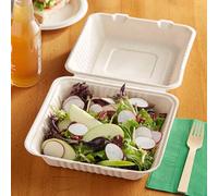 Hot Bargains Bagasse Meal Box 50 Pack 9 Inch Square Biodegradable Container