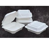 HOT BARGAINS Bagasse Meal Box 9 inch Square Container, Pack of 50, White