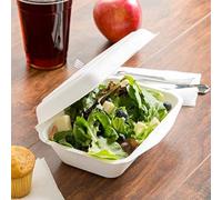 HOT BARGAINS Bagasse Snack Box 7.5 x 6 inch Single Compartment Container, Pack of 400, White, Biodegradable