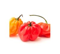 Hot Chilli Pepper 1kg