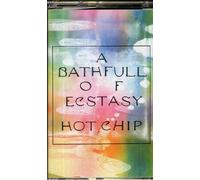 Hot Chip A Bath Full of Ecstasy Cassette WIGMC375 NEW