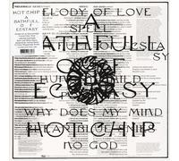 Hot Chip – A Bath Full of Ecstasy – Vinyl (Domino)